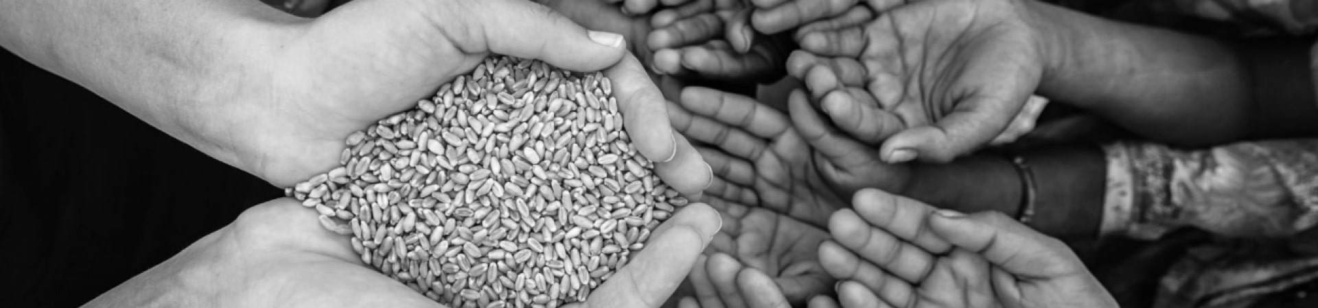 لورم ایپسوم متن ساختگی با تولید سادگی